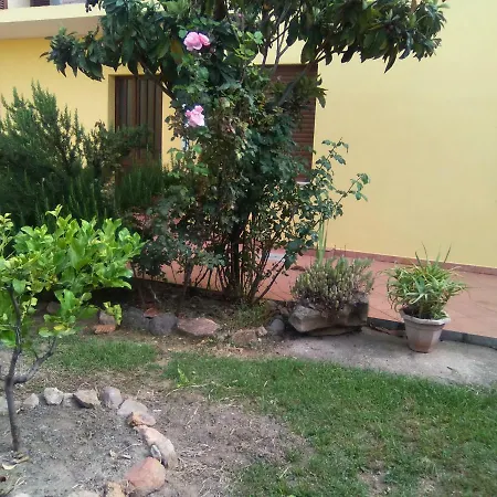 Da Giuseppe * Girasole